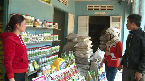 Người dân thị trấn Ea Pốk (huyện Cư M’gar) chọn mua phân bón tại một đại lý. Người dân thị trấn Ea Pốk (huyện Cư M’gar) chọn mua phân bón tại một đại lý.