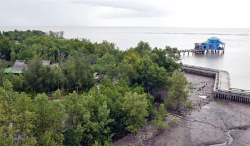 Vườn quốc gia Mũi Cà Mau là vùng đất ngập nước có tầm quan trọng thế giới, với hệ sinh thái rừng ngập mặn tự nhiên có giá trị cao. Ảnh: Thanh Hà/TTXVN Vườn quốc gia Mũi Cà Mau là vùng đất ngập nước có tầm quan trọng thế giới, với hệ sinh thái rừng ngập mặn tự nhiên có giá trị cao. Ảnh: Thanh Hà/TTXVN