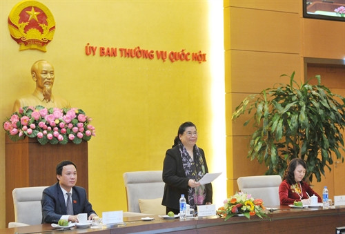 Phó Chủ tịch Quốc hội Tòng Thị Phóng phát biểu tại buổi gặp mặt. Ảnh: Phương Hoa – TTXVN