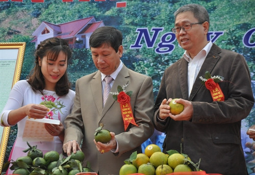 Các đại biểu gắn mác nhãn hiệu cho cam Văn Chấn. Ảnh: Đinh Hữu Dư – TTXVN. Các đại biểu gắn mác nhãn hiệu cho cam Văn Chấn. Ảnh: Đinh Hữu Dư – TTXVN.