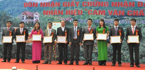 Lễ trao Giấy chứng nhận nhãn hiệu “Cam Văn Chấn” cho các tập thể. Ảnh: Đinh Hữu Dư – TTXVN. Lễ trao Giấy chứng nhận nhãn hiệu “Cam Văn Chấn” cho các tập thể. Ảnh: Đinh Hữu Dư – TTXVN.
