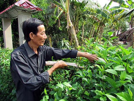 Ý thức của người dân là điều kiện tiên quyết để Tân Phước Hưng xây dựng thành công những tuyến đường đẹp. Ý thức của người dân là điều kiện tiên quyết để Tân Phước Hưng xây dựng thành công những tuyến đường đẹp.