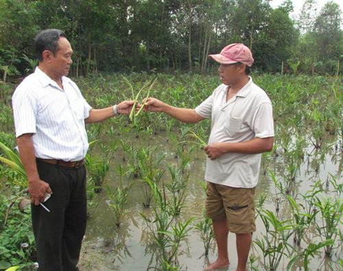 Anh Hoàng (phải) trao đổi về cách trồng rau móp với Chủ tịch Hội Nông dân xã An Hòa. Ảnh: danviet.vn Anh Hoàng (phải) trao đổi về cách trồng rau móp với Chủ tịch Hội Nông dân xã An Hòa. Ảnh: danviet.vn