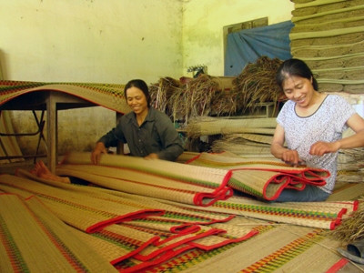 Ảnh minh họa Ảnh minh họa