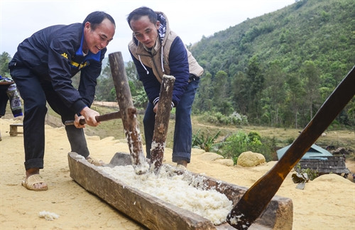 Giã bánh dày trong ngày Tết.