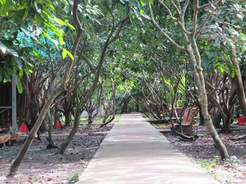 Nhiều hoạt động thiết thực xây dựng nếp sống văn hóa - văn minh đô thị. Ảnh: Ánh Tuyết Nhiều hoạt động thiết thực xây dựng nếp sống văn hóa - văn minh đô thị. Ảnh: Ánh Tuyết