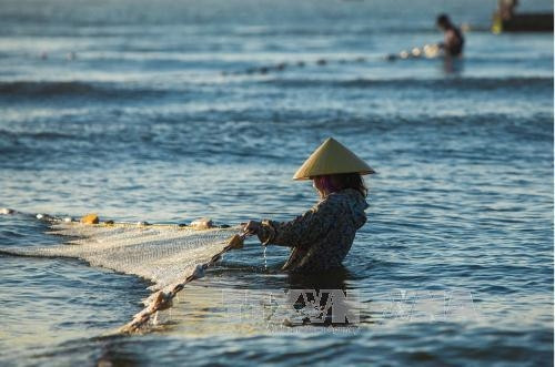Kéo rùng - nghề truyền thống độc đáo của ngư dân xứ Thanh ảnh 8