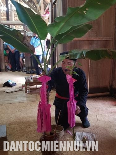 Kết thúc buổi lễ, cây chuối non được mang trồng ở vườn nhà. Ảnh: Hoàng Tâm Kết thúc buổi lễ, cây chuối non được mang trồng ở vườn nhà. Ảnh: Hoàng Tâm