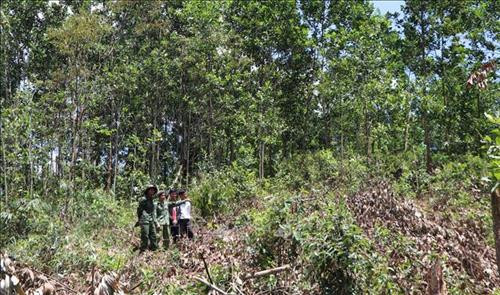 Rẫy của dân làng Tu Rét xã Đăk Nên huyện Kon Plông (Kon Tum) bị thu hồi và cấp cho dân làng Xô Luông, Vương sản xuất vẫn chưa nhận được tiền đền bù. Ảnh: Cao Nguyên-TTXVN Rẫy của dân làng Tu Rét xã Đăk Nên huyện Kon Plông (Kon Tum) bị thu hồi và cấp cho dân làng Xô Luông, Vương sản xuất vẫn chưa nhận được tiền đền bù. Ảnh: Cao Nguyên-TTXVN