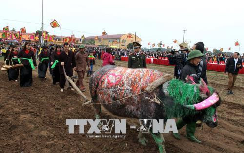 Thực hiện nghi thức với đường cày đầu xuân tại Lễ khai hội Tịch điền Đọi Sơn 2017. Ảnh: Quốc Khánh – TTXVN
