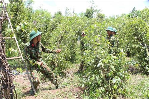 Lực lượng chức năng hỗ trợ người dân khắc phục hậu quả lốc xoáy. Ảnh: Đậu Tất Thành - TTXVN Lực lượng chức năng hỗ trợ người dân khắc phục hậu quả lốc xoáy. Ảnh: Đậu Tất Thành - TTXVN