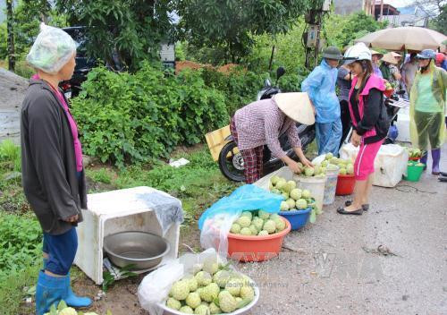 Một góc chợ na La Hiên ven Quốc lộ 1B. Ảnh: Hoàng Nguyên - TTXVN