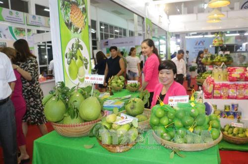 Gian hàng trưng bày nông sản sạch và an toàn. Ảnh: Ngọc Thiện - TTXVN Gian hàng trưng bày nông sản sạch và an toàn. Ảnh: Ngọc Thiện - TTXVN