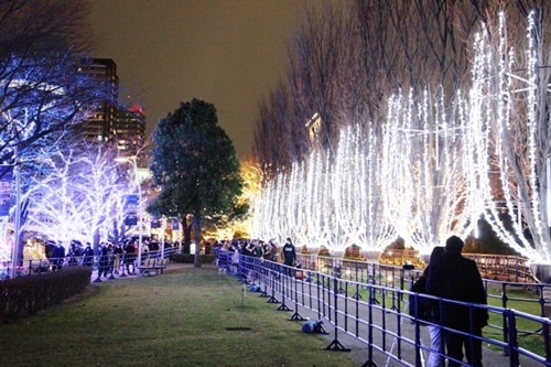 Kỳ ảo lễ hội ánh sáng Tokyo 2015 ảnh 7