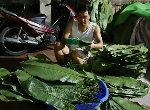 Bánh chưng Lỗ Khê nổi tiếng với vị đậm bùi của nhân bánh, vị thơm của lá dong quyện với nếp cái hoa vàng, nhất là độ rền, mịn của bánh. Ảnh: Minh Quyết – TTXVN Mỗi dịp gần tết, đơn hàng nhiều, cơ sở làm bánh chưng nhà bà Phạm Thị Lành phải thuê thêm người để gói bánh cho kịp, phục vụ khách hàng. Ảnh: Minh Quyết – TTXVN Sau khi đã ráo nước, lá dong được cắt bỏ phần cuống. Ảnh: Minh Quyết – TTXVN Gạo nếp cái hoa vàng được ngâm 1 giờ trước khi gói bánh. Ảnh: Minh Quyết – TTXVN Đậu xanh cũng được chọn lọc kỹ lưỡng và được ngâm 3 giờ trước khi gói bánh. Ảnh: Minh Quyết – TTXVN Thịt lợn làm nhân là thịt vai, tạo độ mềm và ngậy cho nhân bánh. Ảnh: Minh Quyết – TTXVN Ngoài bánh dài, còn có bánh chưng vuông được gói theo nhu cầu của khách hàng. Ảnh: Minh Quyết – TTXVN Bánh chưng được gói theo khuôn. Ảnh: Minh Quyết – TTXVN Bánh chưng làng Lỗ Khê chủ yếu là loại bánh dài. Ảnh: Minh Quyết – TTXVN Những người thợ gói bánh chưng tại hộ gia đình bà Lành (Liên Xá, Đông Anh). Ảnh: Minh Quyết – TTXVN Bánh sau khi gói xong được xếp vào nồi luộc. Những năm gần đây, nhiều hộ đã đổi dần bếp than sang bếp điện để luộc bánh. Ảnh: Minh Quyết – TTXVN Bánh chưng sẽ được luộc trong thời gian từ 6 đến 8 giờ. Ảnh: Minh Quyết – TTXVN Bánh sau khi luộc xong được xếp lên giá, chuẩn bị giao cho khách. Ảnh: Minh Quyết – TTXVN Bánh chưng Lỗ Khê nổi tiếng với vị đậm bùi của nhân bánh, vị thơm của lá dong quyện với nếp cái hoa vàng, nhất là độ rền, mịn của bánh. Ảnh: Minh Quyết – TTXVN Mỗi dịp gần tết, đơn hàng nhiều, cơ sở làm bánh chưng nhà bà Phạm Thị Lành phải thuê thêm người để gói bánh cho kịp, phục vụ khách hàng. Ảnh: Minh Quyết – TTXVN Sau khi đã ráo nước, lá dong được cắt bỏ phần cuống. Ảnh: Minh Quyết – TTXVN Gạo nếp cái hoa vàng được ngâm 1 giờ trước khi gói bánh. Ảnh: Minh Quyết – TTXVN Đậu xanh cũng được chọn lọc kỹ lưỡng và được ngâm 3 giờ trước khi gói bánh. Ảnh: Minh Quyết – TTXVN Thịt lợn làm nhân là thịt vai, tạo độ mềm và ngậy cho nhân bánh. Ảnh: Minh Quyết – TTXVN Ngoài bánh dài, còn có bánh chưng vuông được gói theo nhu cầu của khách hàng. Ảnh: Minh Quyết – TTXVN Bánh chưng được gói theo khuôn. Ảnh: Minh Quyết – TTXVN Bánh chưng làng Lỗ Khê chủ yếu là loại bánh dài. Ảnh: Minh Quyết – TTXVN Những người thợ gói bánh chưng tại hộ gia đình bà Lành (Liên Xá, Đông Anh). Ảnh: Minh Quyết – TTXVN Bánh sau khi gói xong được xếp vào nồi luộc. Những năm gần đây, nhiều hộ đã đổi dần bếp than sang bếp điện để luộc bánh. Ảnh: Minh Quyết – TTXVN Bánh chưng sẽ được luộc trong thời gian từ 6 đến 8 giờ. Ảnh: Minh Quyết – TTXVN Bánh sau khi luộc xong được xếp lên giá, chuẩn bị giao cho khách. Ảnh: Minh Quyết – TTXVN