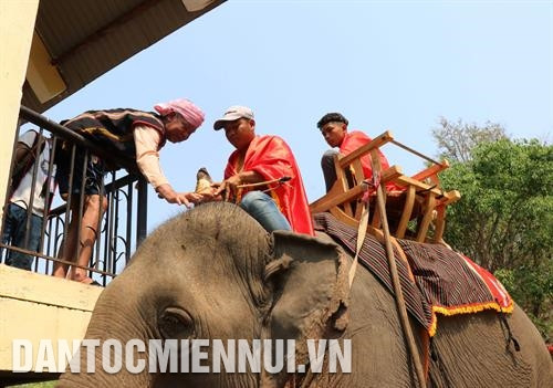 Voi tăng tốc để cán đích trong phần thi voi chạy đua. Ảnh: Tuấn Anh Thầy cúng thực hiện nghi lễ cúng sức khỏe cho voi. Ảnh: Tuấn Anh Voi tăng tốc để cán đích trong phần thi voi chạy đua. Ảnh: Tuấn Anh Thầy cúng thực hiện nghi lễ cúng sức khỏe cho voi. Ảnh: Tuấn Anh