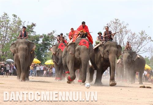 Với sự tham gia của 8 chú voi, phần thi voi đá bóng luôn diễn ra sôi nổi, kịch tính. Ảnh: Tuấn Anh Với sự tham gia của 8 chú voi, phần thi voi đá bóng luôn diễn ra sôi nổi, kịch tính. Ảnh: Tuấn Anh