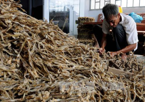 Khô cá khoai – đặc sản của Đất Mũi. Ảnh: An Hiếu - TTXVN Khô cá khoai – đặc sản của Đất Mũi. Ảnh: An Hiếu - TTXVN