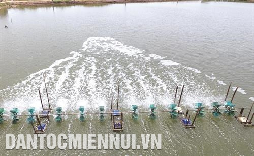 Cần có hồ chứa nước ngọt dự trữ để chủ động nguồn nước khi xảy ra hạn hán và xâm nhập mặn Cần có hồ chứa nước ngọt dự trữ để chủ động nguồn nước khi xảy ra hạn hán và xâm nhập mặn