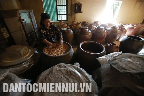 Làng nghề nấu rượu Há Ía, xã Cán Chu Phìn tạo công ăn việc làm cho nhiều lao động người Mông. Ảnh: An Thành Đạt Gia đình chị Giàng Thị Chợ ở thôn Pả Vi Hạ, xã Pả Vi làm giàu nhờ nuôi bò vỗ béo. Ảnh: An Thành Đạt Hộ gia đình ông Vàng Mí Dình ở thôn Séo Xả Lủng, xã Pải Lủng làm giàu nhờ nuôi ong mật. Ảnh: An Thành Đạt Nhiều hộ đồng bào Mông ở xã Tát Ngà thoát nghèo nhờ trồng hồng không hạt. Ảnh: An Thành Đạt