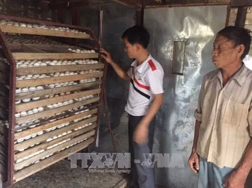 Anh Hà Văn Hoành, xã Lũng Niêm, huyện Bá Thước, kiểm tra máy ấp trứng vịt Cổ Lũng. Ảnh: Nguyễn Nam - TTXVN Anh Hà Văn Hoành, xã Lũng Niêm, huyện Bá Thước, kiểm tra máy ấp trứng vịt Cổ Lũng. Ảnh: Nguyễn Nam - TTXVN