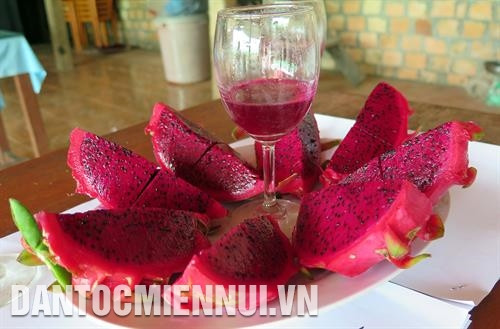 Vườn thanh long ruột đỏ của gia đình ông Lê Xuân Phục ở thôn 10, làng Kon Xkoi, xã Đăk Ruồng, huyện Kon Rẫy. Ảnh: Quang Thái Thanh long ruột đỏ là loại quả ăn bổ mát, có nhiều tác dụng đối với sức khỏe. Ảnh: Quang Thái Vườn thanh long ruột đỏ của gia đình ông Lê Xuân Phục ở thôn 10, làng Kon Xkoi, xã Đăk Ruồng, huyện Kon Rẫy. Ảnh: Quang Thái Thanh long ruột đỏ là loại quả ăn bổ mát, có nhiều tác dụng đối với sức khỏe. Ảnh: Quang Thái