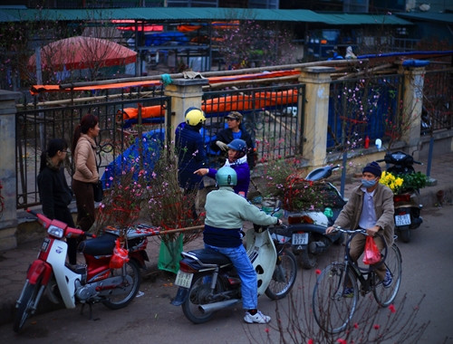 Chợ hoa Quảng An bắt đầu bày bán nhiều cành đào phục vụ người dân đón không khí Tết sớm.