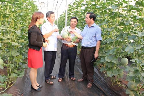 Đắk Nông gắn phát triển du lịch với nông nghiệp sạch ảnh 1 Đắk Nông gắn phát triển du lịch với nông nghiệp sạch ảnh 1