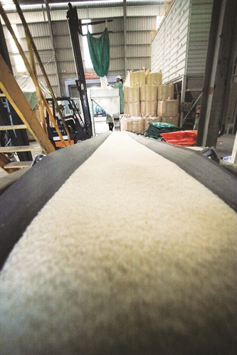 Chế biến gạo xuất khẩu tại Công ty trách nhiệm hữu hạn một thành viên lương thực Thoại sơn (An Giang) Chế biến gạo xuất khẩu tại Công ty trách nhiệm hữu hạn một thành viên lương thực Thoại sơn (An Giang)