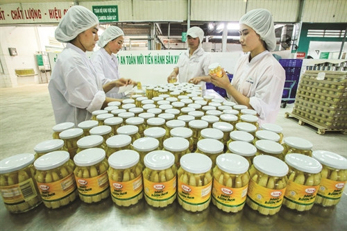 Chế biến nông sản xuất khẩu tại Công ty cổ phần rau quả An Giang Chế biến nông sản xuất khẩu tại Công ty cổ phần rau quả An Giang