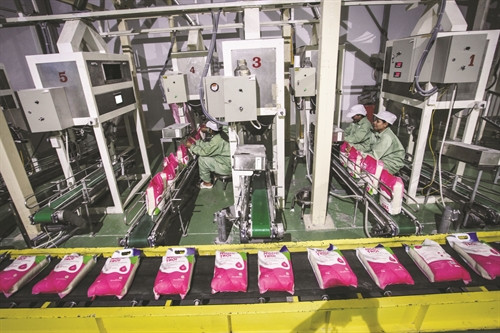 Chế biến gạo xuất khẩu là một trong những thế mạnh của vùng Tứ giác Long Xuyên Chế biến gạo xuất khẩu là một trong những thế mạnh của vùng Tứ giác Long Xuyên