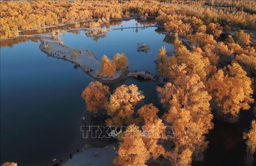 Du khách chiêm ngưỡng hàng cây lá phong đỏ tại Hàm Đan, tỉnh Hà Bắc, Trung Quốc. Ảnh: THX/TTXVN. Hoa cúc khoe sắc tại triển lãm hoa quốc tế Bắc Kinh, Trung Quốc. Ảnh: THX/ TTXVN Hoa cúc nở rộ tại Bắc Kinh, Trung Quốc. Ảnh: THX/TTXVN Người dân thăm triển lãm hoa quốc tế Bắc Kinh, Trung Quốc. Ảnh: THX/TTXVN Cảnh sắc mùa thu tại Tửu Tuyền, tỉnh Cam Túc, miền Tây Bắc Trung Quốc. Ảnh: THX/TTXVN Du khách chiêm ngưỡng cảnh đẹp tại Tửu Tuyền, tỉnh Cam Túc, miền Tây Bắc Trung Quốc. Ảnh: THX/TTXVN Mùa thu vàng hấp dẫn du khách tại Tửu Tuyền, tỉnh Cam Túc, miền Tây Bắc Trung Quốc. Ảnh: THX/TTXVN Sắc màu thu tại Khu tự trị Nội Mông, miền Bắc Trung Quốc. Ảnh: THX/TTXVN phát Sắc màu thu tại Tế Nam, tỉnh Sơn Đông, Trung Quốc ngày 21/10/2019. Ảnh: THX/TTXVN phát Du khách chiêm ngưỡng hàng cây lá phong đỏ tại Hàm Đan, tỉnh Hà Bắc, Trung Quốc. Ảnh: THX/TTXVN. Hoa cúc khoe sắc tại triển lãm hoa quốc tế Bắc Kinh, Trung Quốc. Ảnh: THX/ TTXVN Hoa cúc nở rộ tại Bắc Kinh, Trung Quốc. Ảnh: THX/TTXVN Người dân thăm triển lãm hoa quốc tế Bắc Kinh, Trung Quốc. Ảnh: THX/TTXVN Cảnh sắc mùa thu tại Tửu Tuyền, tỉnh Cam Túc, miền Tây Bắc Trung Quốc. Ảnh: THX/TTXVN Du khách chiêm ngưỡng cảnh đẹp tại Tửu Tuyền, tỉnh Cam Túc, miền Tây Bắc Trung Quốc. Ảnh: THX/TTXVN Mùa thu vàng hấp dẫn du khách tại Tửu Tuyền, tỉnh Cam Túc, miền Tây Bắc Trung Quốc. Ảnh: THX/TTXVN Sắc màu thu tại Khu tự trị Nội Mông, miền Bắc Trung Quốc. Ảnh: THX/TTXVN phát Sắc màu thu tại Tế Nam, tỉnh Sơn Đông, Trung Quốc ngày 21/10/2019. Ảnh: THX/TTXVN phát