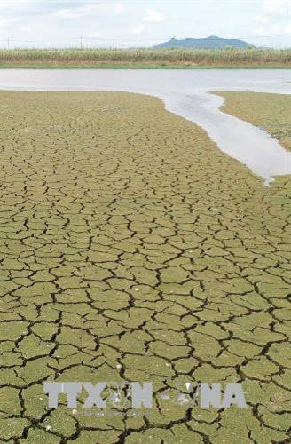Cảnh khô hạn tại một hồ chứa ở Naju, Hàn Quốc ngày 13/8. Ảnh: Yonhap/TTXVN Cảnh khô hạn tại một hồ chứa ở Naju, Hàn Quốc ngày 13/8. Ảnh: Yonhap/TTXVN