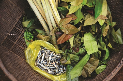 Rau rừng, cá suối là những nguyên liệu chính để chế biến món “canh thụt”