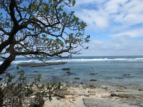 Vẻ đẹp đảo Lý Sơn ảnh 11