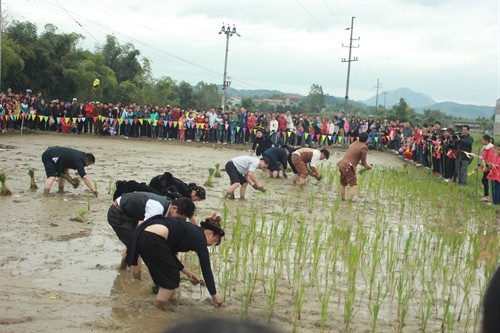 Lễ hội lồng thồng Bủng Kham mang đậm truyền thống của người dân vùng lúa.