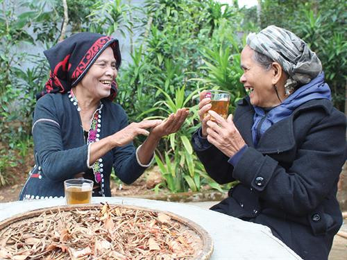 Cụ Quế và cụ Huệ trò chuyện rôm rả bên ly nước từ rễ cây rừng Cụ Quế và cụ Huệ trò chuyện rôm rả bên ly nước từ rễ cây rừng