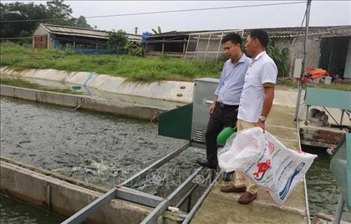 Bể cá nuôi theo công nghệ "sông trao ao" của anh Hoàng Văn Thường, xã Tiêu Động, huyện Bình Lục, Hà Nam. Ảnh: Nguyễn Chinh - TTXVN Bể cá nuôi theo công nghệ "sông trao ao" của anh Hoàng Văn Thường, xã Tiêu Động, huyện Bình Lục, Hà Nam. Ảnh: Nguyễn Chinh - TTXVN
