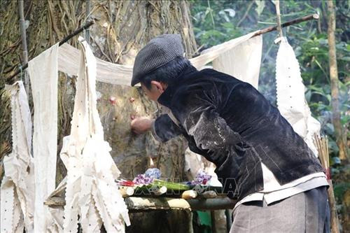 Thầy cúng dùng lông gà được phết máu và dán lên gốc cây cổ thụ, đây là một hình thức báo với thần rừng là dân làng đã dâng lễ vật lên Thần rừng. Ảnh: Việt Dũng – TTXVN