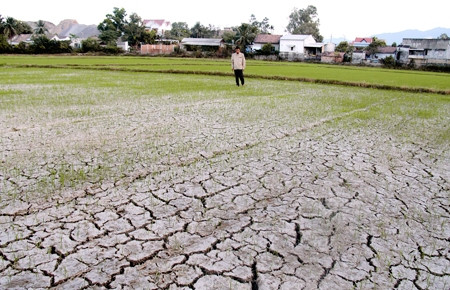 Ảnh minh họa (Báo Khánh Hòa) Ảnh minh họa (Báo Khánh Hòa)