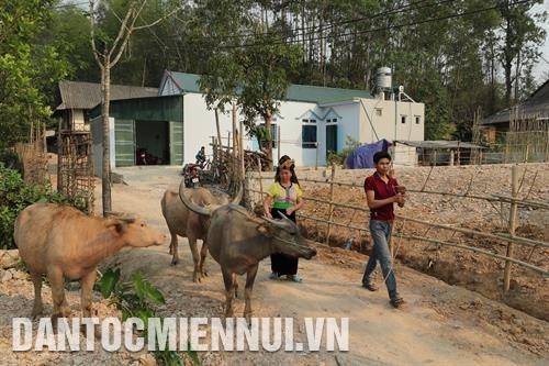 Nhận trâu từ Chương trình 30a, anh Vì Văn Hồng, dân tộc Thái ở bản Sam Mứn, xã Sam Mứn được "trao cần câu" để tự vươn lên thoát nghèo. Ảnh: Hoàng Hà Nhận trâu từ Chương trình 30a, anh Vì Văn Hồng, dân tộc Thái ở bản Sam Mứn, xã Sam Mứn được "trao cần câu" để tự vươn lên thoát nghèo. Ảnh: Hoàng Hà Hợp tác xã dịch vụ tổng hợp Thanh Yên áp dụng khoa học - kỹ thuật vào sản xuất lúa gạo đặc sản nhằm nâng cao chất lượng sản phẩm, tăng thu nhập cho xã viên. Ảnh: Hoàng Hà Nhận trâu từ Chương trình 30a, anh Vì Văn Hồng, dân tộc Thái ở bản Sam Mứn, xã Sam Mứn được "trao cần câu" để tự vươn lên thoát nghèo. Ảnh: Hoàng Hà Nhận trâu từ Chương trình 30a, anh Vì Văn Hồng, dân tộc Thái ở bản Sam Mứn, xã Sam Mứn được "trao cần câu" để tự vươn lên thoát nghèo. Ảnh: Hoàng Hà Hợp tác xã dịch vụ tổng hợp Thanh Yên áp dụng khoa học - kỹ thuật vào sản xuất lúa gạo đặc sản nhằm nâng cao chất lượng sản phẩm, tăng thu nhập cho xã viên. Ảnh: Hoàng Hà