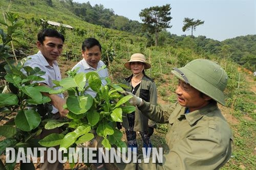 Cán bộ ngành nông nghiệp xã Nà Nhạn hướng dẫn hộ gia đình chị Bùi Thị Nguyệt ở bản Nà Nọi 2, xã Nà Nhạn phương pháp phòng trừ sâu bệnh cho cây trồng. Ảnh: Hoàng Hà Cán bộ ngành nông nghiệp xã Nà Nhạn hướng dẫn hộ gia đình chị Bùi Thị Nguyệt ở bản Nà Nọi 2, xã Nà Nhạn phương pháp phòng trừ sâu bệnh cho cây trồng. Ảnh: Hoàng Hà