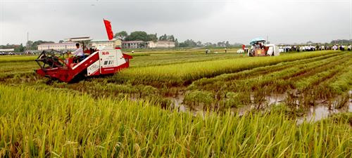 Xã Liên Mạc, huyện Mê Linh, thành phố Hà Nội đưa cơ giới hóa vào sản xuất nông nghiệp.