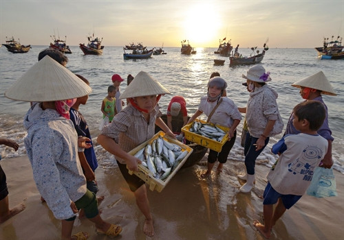 Ảnh minh họa Ảnh minh họa
