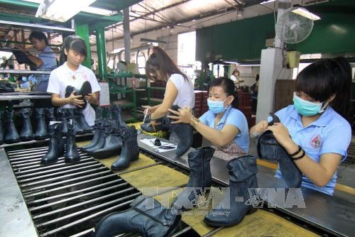 Dây chuyền sản xuất giầy nữ thời trang xuất khẩu tại nhà máy. Ảnh: Vũ Sinh – TTXVN