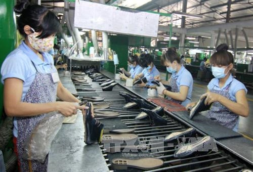 Dây chuyền sản xuất giầy nữ thời trang xuất khẩu tại nhà máy. Ảnh: Vũ Sinh – TTXVN