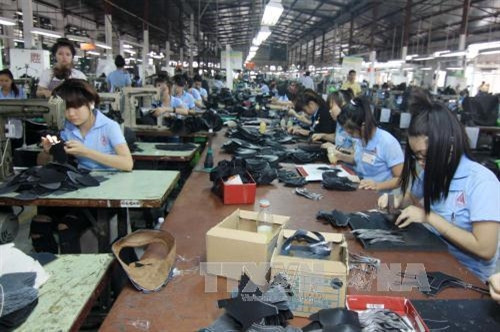 Các doanh nghiệp da giầy trong nước đều có sự đổi mới về sản xuất, nâng cao năng suất và chất lượng sản phẩm, tích cực tìm kiếm mở rộng thị trường