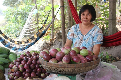 Vú sữa tím được bày bán ngoài chợ.