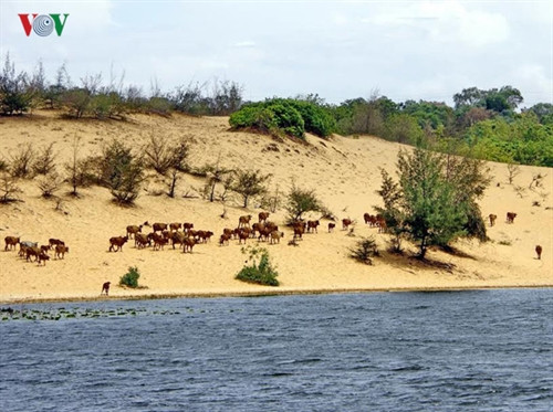 Đắm mình trong khung cảnh thanh bình, gần gũi với thiên nhiên