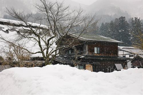 Shirakawago thuộc tỉnh Gifu, Nhật Bản. Đây là một trong những ngôi làng độc đáo của xứ Phù Tang. Mặc cho những biến đổi về kinh tế, thiên tai, Shirakawago vẫn giữ nguyên hình dáng, kiến trúc từ 400 năm trước. Shirakawago chỉ cách các thành phố lớn như Nagoya hay Kanazawa 2-3 tiếng đi xe buýt. Làng được UNESCO công nhận là di sản thế giới từ năm 1995. Hiện Shirakawago có khoảng 114 ngôi nhà với hơn 20 căn nhà cổ bằng gỗ được gìn giữ gần như nguyên vẹn. Điểm đặc biệt của những căn nhà này là mái nhà được thiết kế như bàn tay chắp vào nhau để cầu nguyện. Thiết kế này vừa mang tính tôn giáo vừa để chống chọi với những trận bão tuyết. Trong tiếng Nhật Bản, Shirakawago có nghĩa là bạch xuyên hương, tức làng của những con sông trắng. Người dân ở đây vẫn gìn giữ và duy trì nhiều nghi lễ cổ xưa có từ thế kỷ XVII. Một trong những lễ hội đặc biệt nhất ở đây là "Shirakawago Winter Light-up". Vào mùa đông, cả ngôi làng sẽ thắp sáng vào 6 đêm trong 3 tuần (mỗi tuần 2 đêm). Mỗi năm, làng Shirakawago chỉ lên đèn 6 lần nên mặc cho thời tiết giá lạnh, hàng nghìn du khách vẫn đổ về đây để được chiêm ngưỡng cảnh tượng đặc biệt này. Mỗi đêm, chỉ 500 du khách được leo lên đỉnh núi để chiêm ngưỡng khung cảnh độc nhất vô nhị này. Giữa tiết trời se lạnh, những ngôi nhà gỗ phủ đầy tuyết trắng đồng loạt lên đèn tạo nên một khung cảnh huyền ảo như bước ra từ một câu chuyện cổ tích. Du khách có thể đến làng Shirakawago suốt 4 mùa trong năm. Mùa nào cũng sẽ có những lễ hội truyền thống rất thú vị. Để vào làng, du khách phải đi qua một cây cầu dây dài 107 m. Người dân gọi đây là cầu Deaibasi, có nghĩa là cầu Kỳ duyên với mong muốn mọi người luôn hòa thuận, sum vầy. Mùa đông, cây cầu được phủ tuyết trắng, mùa xuân tuyết tan tạo thành một con suối nhỏ ngày đêm róc rách chảy. Trước cổng làng có một con sông nhỏ chạy men theo bìa rừng. Vào mùa thu, những hàng cây thay lá dọc 2 bờ sông tạo nên một khung cảnh lãng mạn cho làng cổ Shirakawago. Nhiệt độ trung bình ở làng Shirakawago vào mùa đông luôn dưới 0 độ C. Vào những ngày này, người dân rất ít ra ngoài, mọi sinh hoạt gia đình đều gói gọn trong ngôi nhà gỗ 3 tầng. Tầng một thường là phòng sum vầy, có lò sưởi. Các tầng tiếp theo dùng để nuôi tằm hoặc chứa các dụng cụ nông nghiệp. Ngày nay người dân ở Shirakawago không còn làm nông nhiều, những tầng này chủ yếu phục vụ du khách tham quan. Shirakawago thuộc tỉnh Gifu, Nhật Bản. Đây là một trong những ngôi làng độc đáo của xứ Phù Tang. Mặc cho những biến đổi về kinh tế, thiên tai, Shirakawago vẫn giữ nguyên hình dáng, kiến trúc từ 400 năm trước. Shirakawago chỉ cách các thành phố lớn như Nagoya hay Kanazawa 2-3 tiếng đi xe buýt. Làng được UNESCO công nhận là di sản thế giới từ năm 1995. Hiện Shirakawago có khoảng 114 ngôi nhà với hơn 20 căn nhà cổ bằng gỗ được gìn giữ gần như nguyên vẹn. Điểm đặc biệt của những căn nhà này là mái nhà được thiết kế như bàn tay chắp vào nhau để cầu nguyện. Thiết kế này vừa mang tính tôn giáo vừa để chống chọi với những trận bão tuyết. Trong tiếng Nhật Bản, Shirakawago có nghĩa là bạch xuyên hương, tức làng của những con sông trắng. Người dân ở đây vẫn gìn giữ và duy trì nhiều nghi lễ cổ xưa có từ thế kỷ XVII. Một trong những lễ hội đặc biệt nhất ở đây là "Shirakawago Winter Light-up". Vào mùa đông, cả ngôi làng sẽ thắp sáng vào 6 đêm trong 3 tuần (mỗi tuần 2 đêm). Mỗi năm, làng Shirakawago chỉ lên đèn 6 lần nên mặc cho thời tiết giá lạnh, hàng nghìn du khách vẫn đổ về đây để được chiêm ngưỡng cảnh tượng đặc biệt này. Mỗi đêm, chỉ 500 du khách được leo lên đỉnh núi để chiêm ngưỡng khung cảnh độc nhất vô nhị này. Giữa tiết trời se lạnh, những ngôi nhà gỗ phủ đầy tuyết trắng đồng loạt lên đèn tạo nên một khung cảnh huyền ảo như bước ra từ một câu chuyện cổ tích. Du khách có thể đến làng Shirakawago suốt 4 mùa trong năm. Mùa nào cũng sẽ có những lễ hội truyền thống rất thú vị. Để vào làng, du khách phải đi qua một cây cầu dây dài 107 m. Người dân gọi đây là cầu Deaibasi, có nghĩa là cầu Kỳ duyên với mong muốn mọi người luôn hòa thuận, sum vầy. Mùa đông, cây cầu được phủ tuyết trắng, mùa xuân tuyết tan tạo thành một con suối nhỏ ngày đêm róc rách chảy. Trước cổng làng có một con sông nhỏ chạy men theo bìa rừng. Vào mùa thu, những hàng cây thay lá dọc 2 bờ sông tạo nên một khung cảnh lãng mạn cho làng cổ Shirakawago. Nhiệt độ trung bình ở làng Shirakawago vào mùa đông luôn dưới 0 độ C. Vào những ngày này, người dân rất ít ra ngoài, mọi sinh hoạt gia đình đều gói gọn trong ngôi nhà gỗ 3 tầng. Tầng một thường là phòng sum vầy, có lò sưởi. Các tầng tiếp theo dùng để nuôi tằm hoặc chứa các dụng cụ nông nghiệp. Ngày nay người dân ở Shirakawago không còn làm nông nhiều, những tầng này chủ yếu phục vụ du khách tham quan.